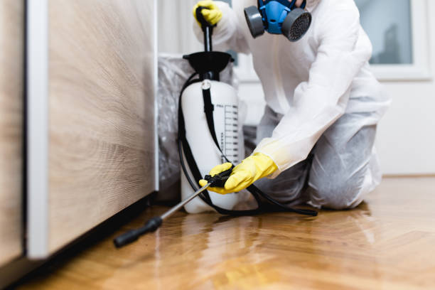 Best Best Pest Control Companies  in Saukville, WI