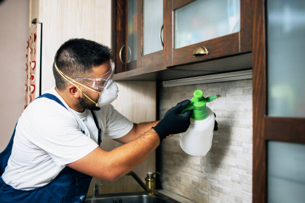 Best Affordable Pest Control Services  in Saukville, WI