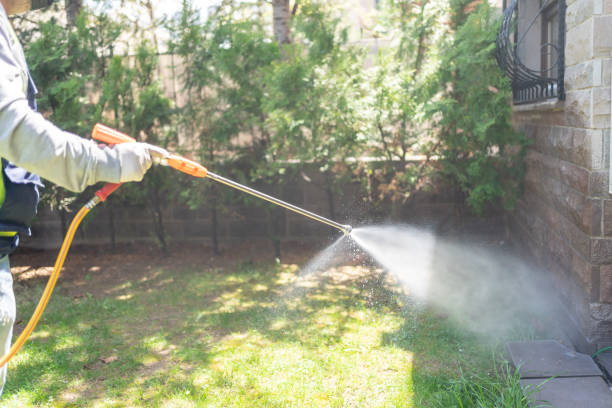 Best Ant Control Services  in Saukville, WI